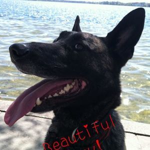 Meet your Posher, Susan